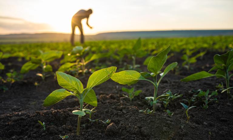 Choosing the Right Irrigation System for Your Farm